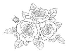 Flower Detailed Rose Arrangement Tracing Worksheets Pdf, Free Vectors File